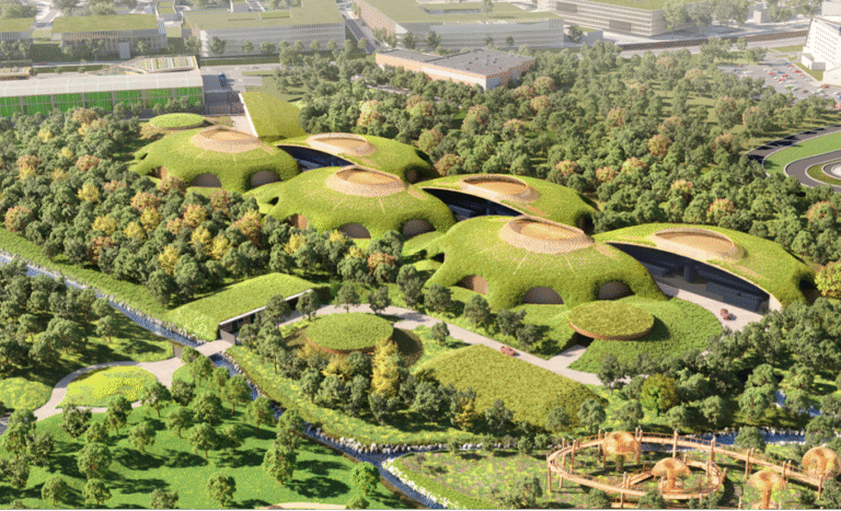 How Microsoft considers nature in data center development